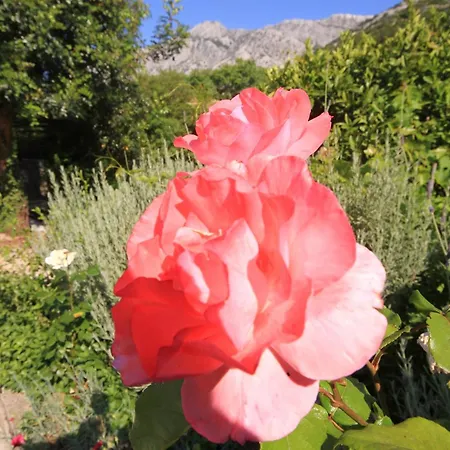 With Parking Space Orebic, Peljesac - 10171 * Orebić